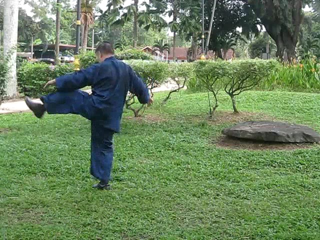 Wu Yu Xiang Style Taijiquan